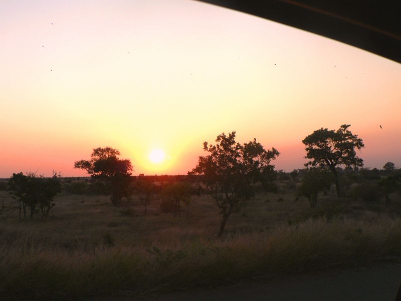 JAR 203.JPG - První den v parku byl velmi úspěšný, viděli jsme mé oblíbené hrochy, Krociho oblíbeného nosorožce. Cesty byly lemovány gazelami, každou chvíli nás fascinovala velikost slona. Prostě nádhera. Už jsme se těšili na další den, neboť jsme ještě neviděli žádnou šelmu.